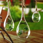 Tear Drop Craft Glass Flower Planters / Borosilicate Garden Glass Hanging Planters